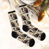 Modern 2 Dog Photo Collage Grid