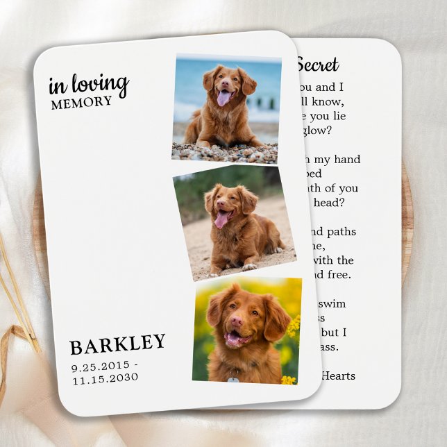 Modern 3 Photo Pet Memorial Keepsake Prayer Card (Creator Uploaded)