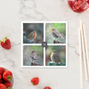 Modern 4 robin bird photos monogrammed napkin