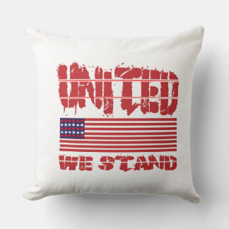 Modern Accent Cushion for Living Room, Bedroom