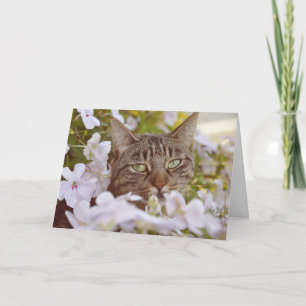 Modern Adorable Cat Lover Garden Greeting Card