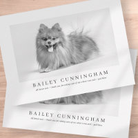 Modern And Simple Photo Pet Thanks Vet Nurses