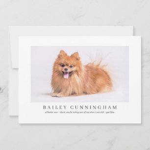 Modern And Simple Photo Pet Thanks Vet Nurses Thank You Card