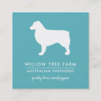 Modern Australian Shepherd Breeder | Social Media