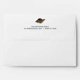 Modern Beach Seashell Gold Coral and Teal Envelope