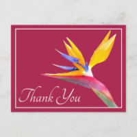 Modern Beautiful Bird of Paradise Floral Thank You