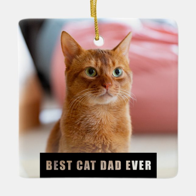 Modern Best Cat Dad Ever Photo Christmas Ceramic Ornament (Front)