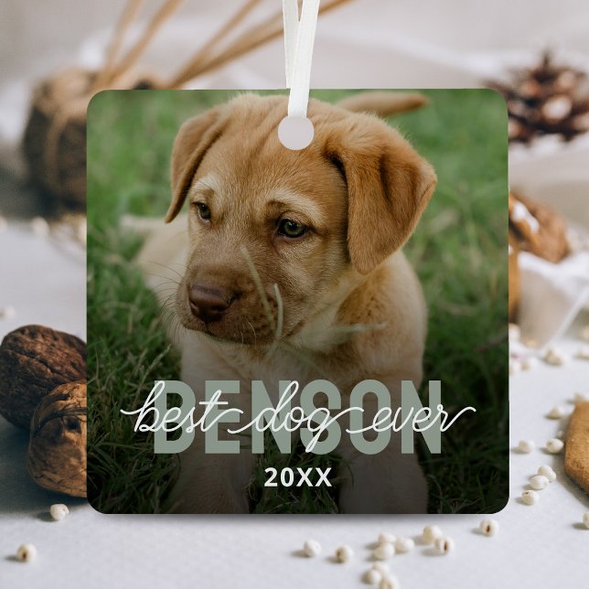 Modern Best Dog Ever Pet Photo Metal Tree Decoration (Creator Uploaded)