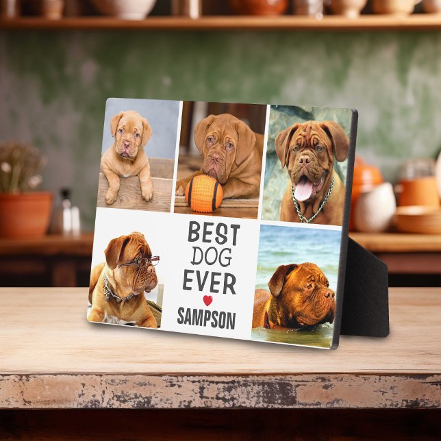 Modern Best Dog Ever Photo Collage | Pet Plaque (Creator Uploaded)