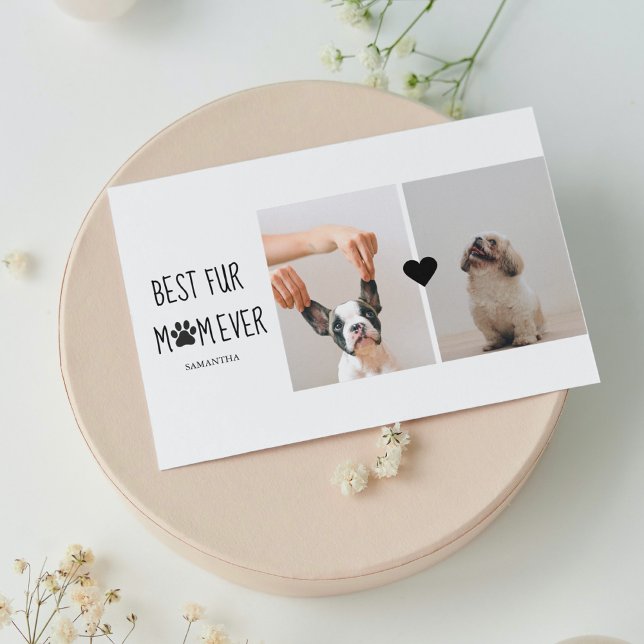 Modern Best Fur Mum Ever | Dog Photo (Creator Uploaded)