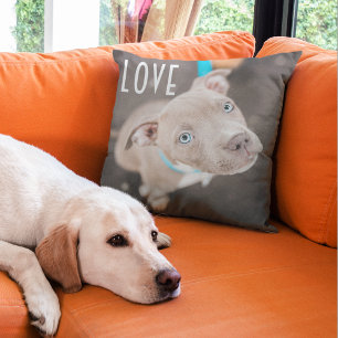 Modern Bestie Photo Pet Dog Friends Love Heart Cushion