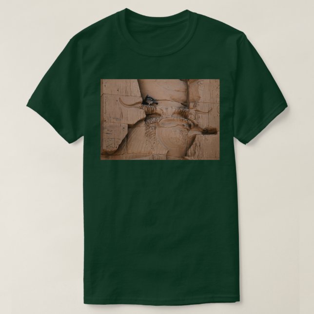 Modern bird Ancient bird T-Shirt (Design Front)