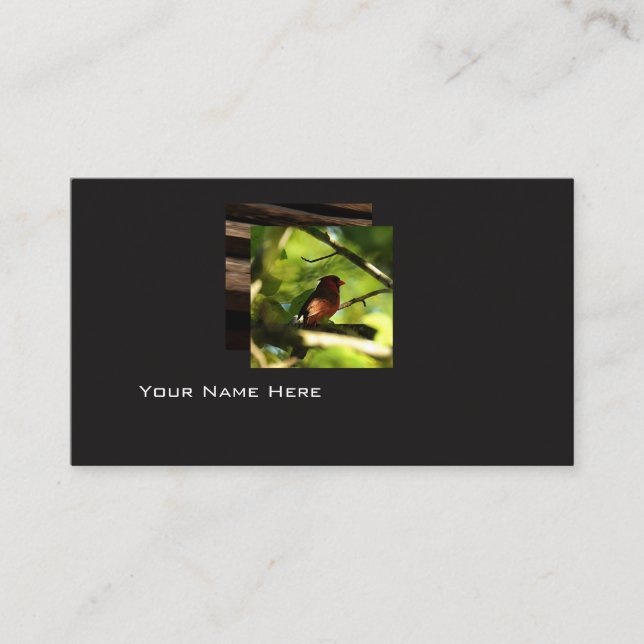 Modern Bird business card (Front)