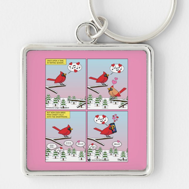Modern Bird Mating Calls Comic Key Ring (Front)