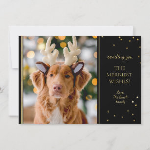 Modern Black and Gold Merry Christmas Photo Card