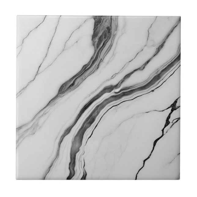 Modern Black and White Marble Ceramic Tile (Front)
