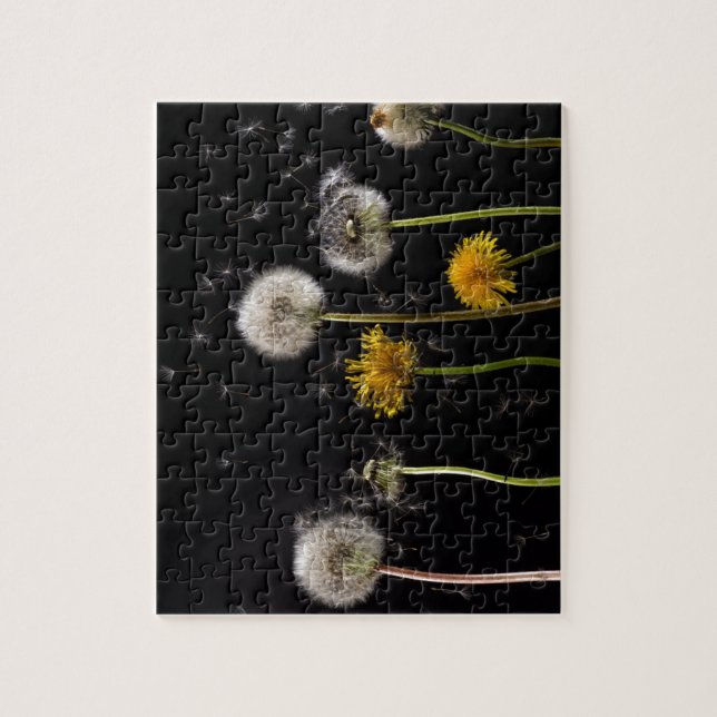 Modern Black Dandelion Jigsaw Puzzle (Vertical)