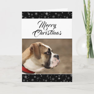Modern Black Snowflake Christmas Holiday Dog Photo