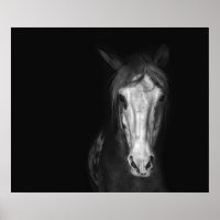 Modern Black White Horse Dramatic 