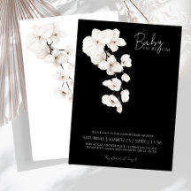 Modern Black White Orchid Baby in Bloom