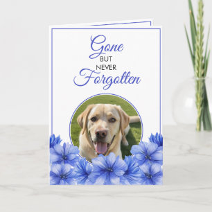 Modern Blue Floral Pet Loss Photo Sympathy Card