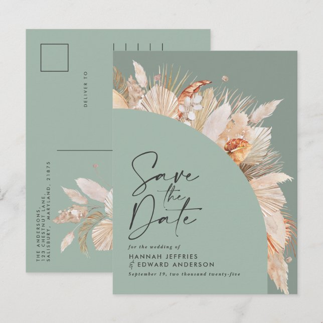 Modern bohemian terracotta pampas grass sage green announcement postcard (Front/Back)
