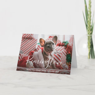 Modern Bold Name Dog Photo Elegant Christmas Holiday Card