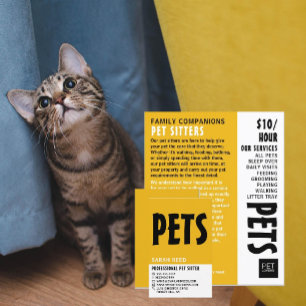 Modern Bold, Pet Sitter Business Card