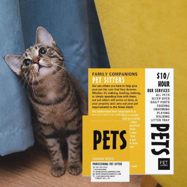 Modern Bold, Pet Sitting Service Advertising Flyer (Creator Uploaded)