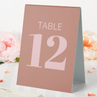 Modern Bold Typography Terracotta Pink Bat Mitzvah