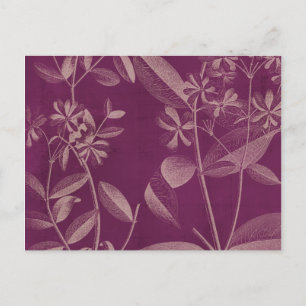 Modern Botany III Postcard