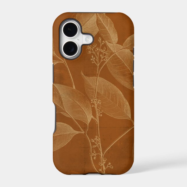 Modern Botany VI (Back)
