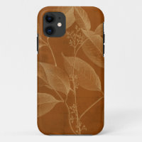 Modern Botany VI