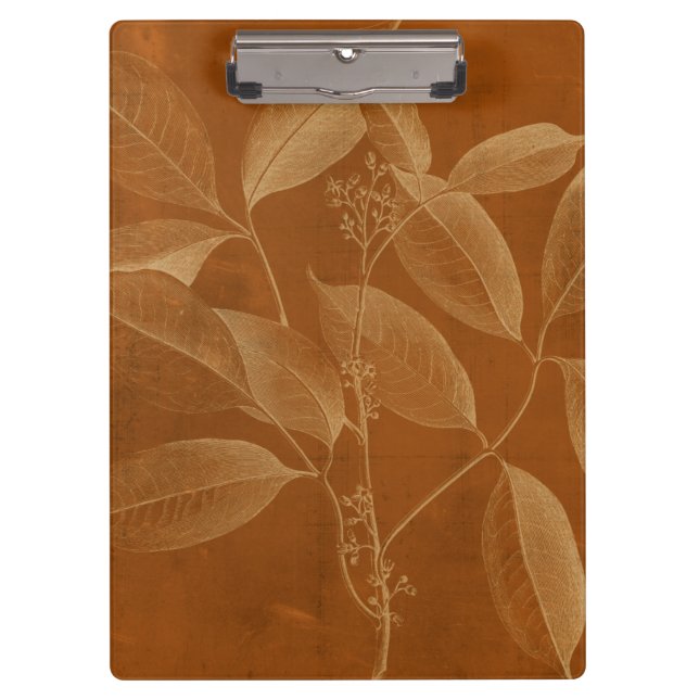 Modern Botany VI Clipboard (Front)
