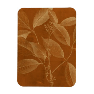 Modern Botany VI Magnet