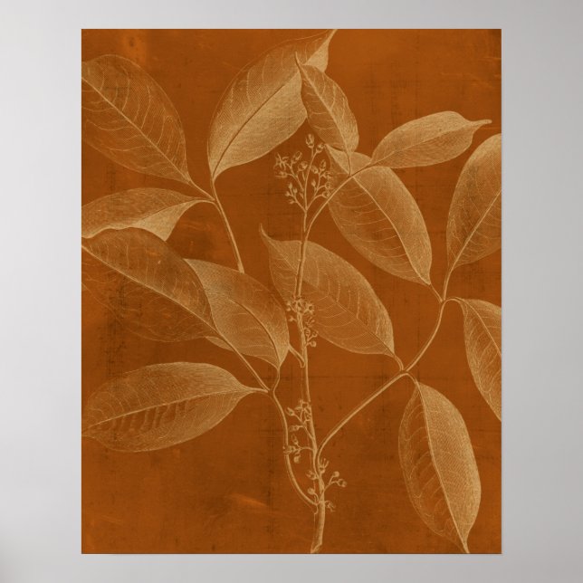 Modern Botany VI Poster (Front)