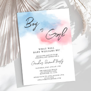 Modern Boy or Girl Gender Reveal Party Invitation