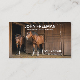 Modern Brown Horses Photo Equine Coaching Business Card
