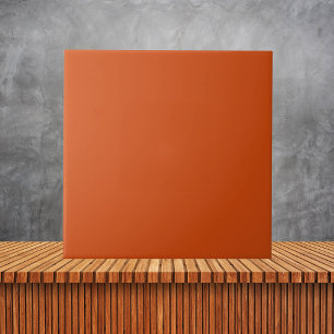 Modern Burnt Orange Plain Solid Color Ceramic Tile