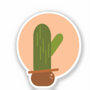 Modern Cactus Potted Bohemian Design
