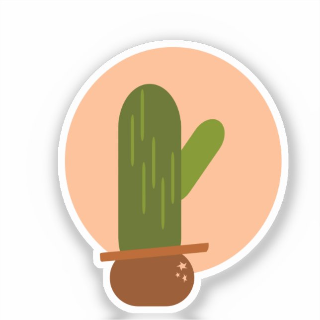 Modern Cactus Potted Bohemian Design (Front)