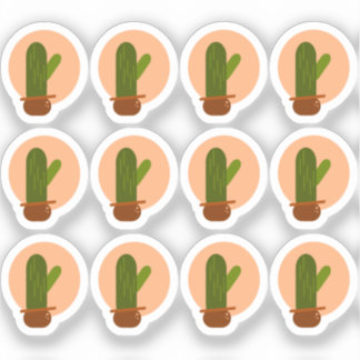 Modern Cactus Potted Bohemian Design Set