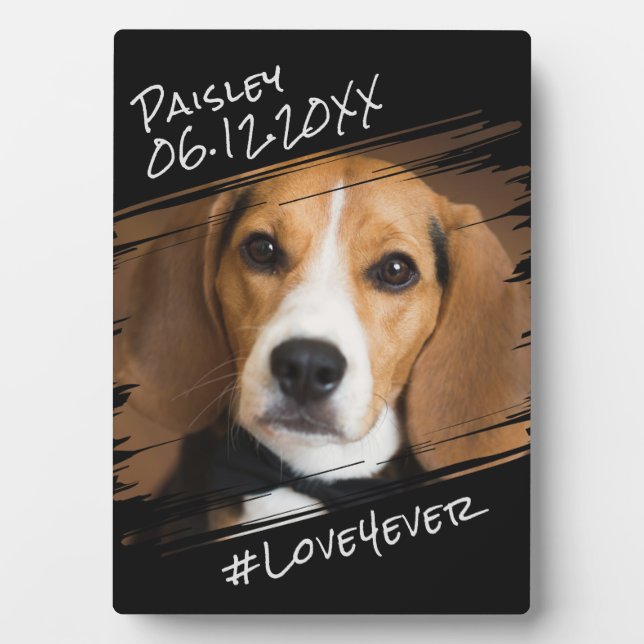 Modern Chic Elegant Simple Black Pet Dog Keepsake Plaque (Front)