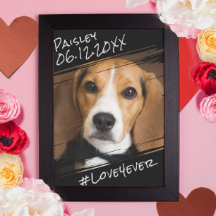 Modern Chic Elegant Simple Black Pet Dog Keepsake  Poster