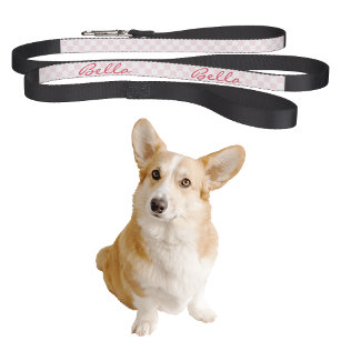 Modern Chic Pink Chequered Dog Puppy Doggy Name Pet Lead
