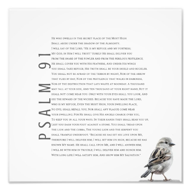Modern Christian Psalm 91 Cute Little Bird Photo Print (Front)