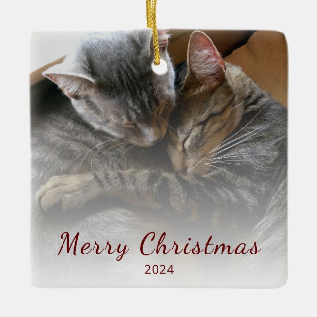 Modern Christmas Cute Cats Photo Festive   Ceramic Ornament (Front)