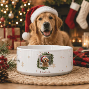 Modern Christmas Pet Bowl – Personalised Photo