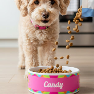 Modern Colorful Retro Geometric Ceramic Pet Bowl