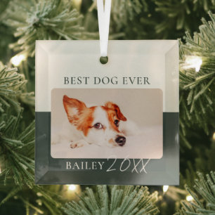 Modern Colour Block Custom Best Dog Ever Photo Glass Tree Decoration